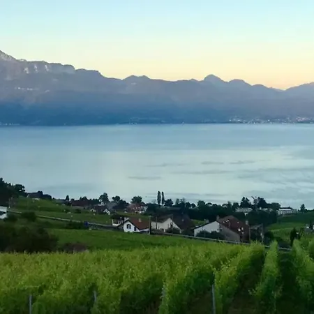 Apartament Ravissant Vue Lausanne Avec Terrasse Lutry