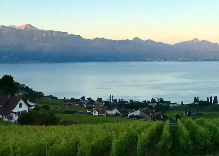 Apartament Ravissant Vue Lausanne Avec Terrasse Lutry