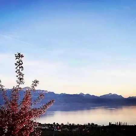 Ravissant Vue Lausanne Avec Terrasse Appartamento Lutry