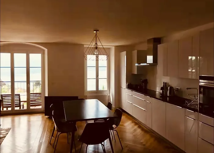 Ravissant Vue Lausanne Avec Terrasse Appartamento