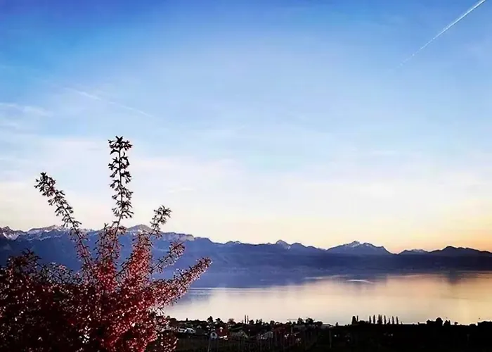 Ravissant Vue Lausanne Avec Terrasse Appartamento Lutry